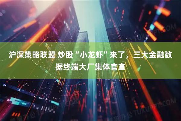 沪深策略联盟 炒股“小龙虾”来了，三大金融数据终端大厂集体官宣