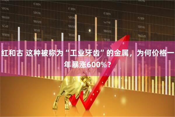 红和古 这种被称为“工业牙齿”的金属，为何价格一年暴涨600%？
