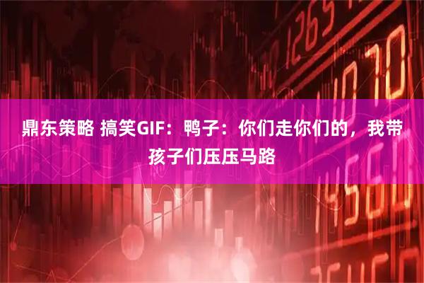 鼎东策略 搞笑GIF:鸭子:你们走你们的,我带孩子们压压马路