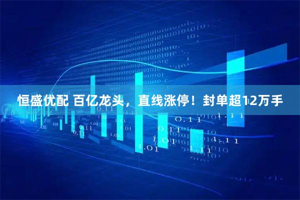 恒盛优配 百亿龙头,直线涨停!封单超12万手
