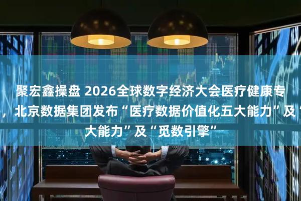 聚宏鑫操盘 2026全球数字经济大会医疗健康专题论坛举办，北京数据集团发布“医疗数据价值化五大能力”及“觅数引擎”