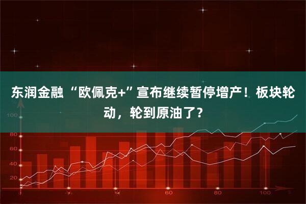 东润金融 “欧佩克+”宣布继续暂停增产！板块轮动，轮到原油了？