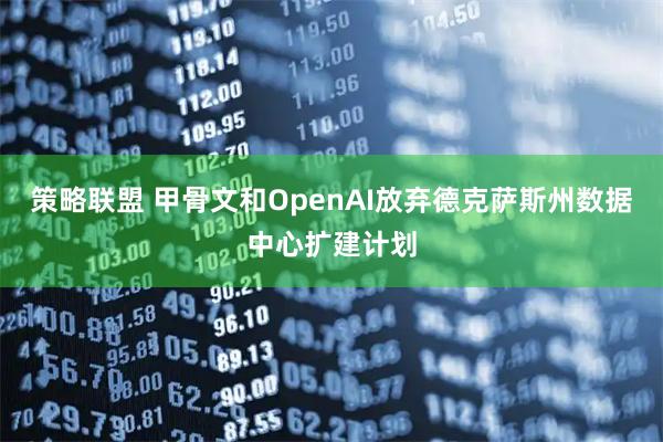策略联盟 甲骨文和OpenAI放弃德克萨斯州数据中心扩建计划