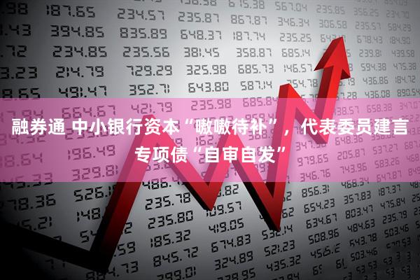 融券通 中小银行资本“嗷嗷待补”,代表委员建言专项债“自审自发”
