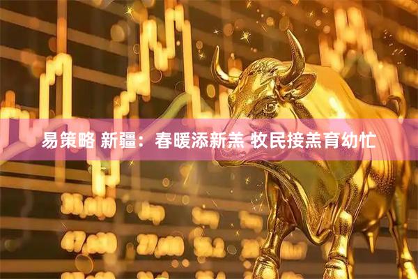 易策略 新疆：春暖添新羔 牧民接羔育幼忙