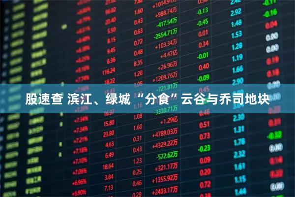 股速查 滨江、绿城 “分食”云谷与乔司地块