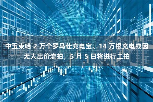 中玉束哈 2 万个罗马仕充电宝、14 万根充电线因无人出价流拍，5 月 5 日将进行二拍