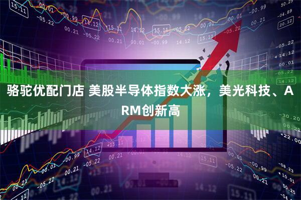 骆驼优配门店 美股半导体指数大涨，美光科技、ARM创新高