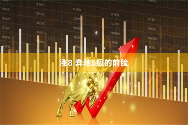 涨8 奔驰S级的前脸