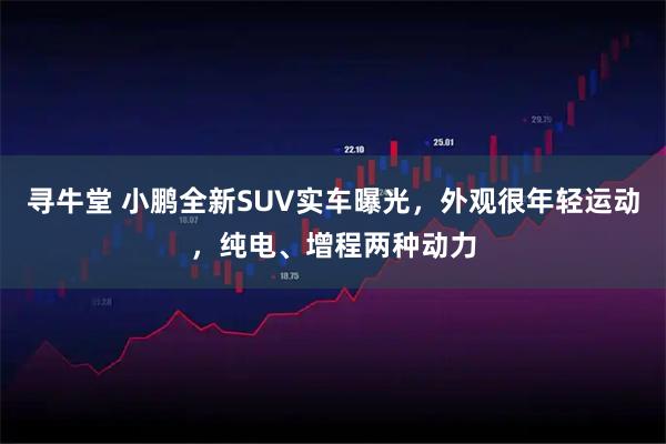 寻牛堂 小鹏全新SUV实车曝光，外观很年轻运动，纯电、增程两种动力