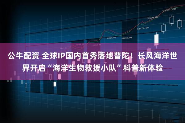 公牛配资 全球IP国内首秀落地普陀！长风海洋世界开启“海洋生物救援小队”科普新体验