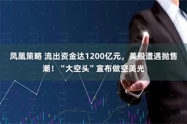 凤凰策略 流出资金达1200亿元，美股遭遇抛售潮！“大空头”宣布做空美光