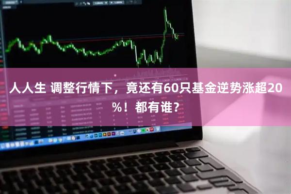 人人生 调整行情下,竟还有60只基金逆势涨超20%!都有谁?